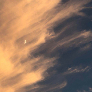 大精鱼官网进入
