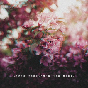 大精鱼官网进入
