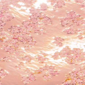 大精鱼官网进入
