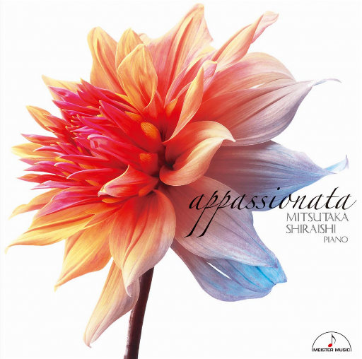 大精鱼官网进入
